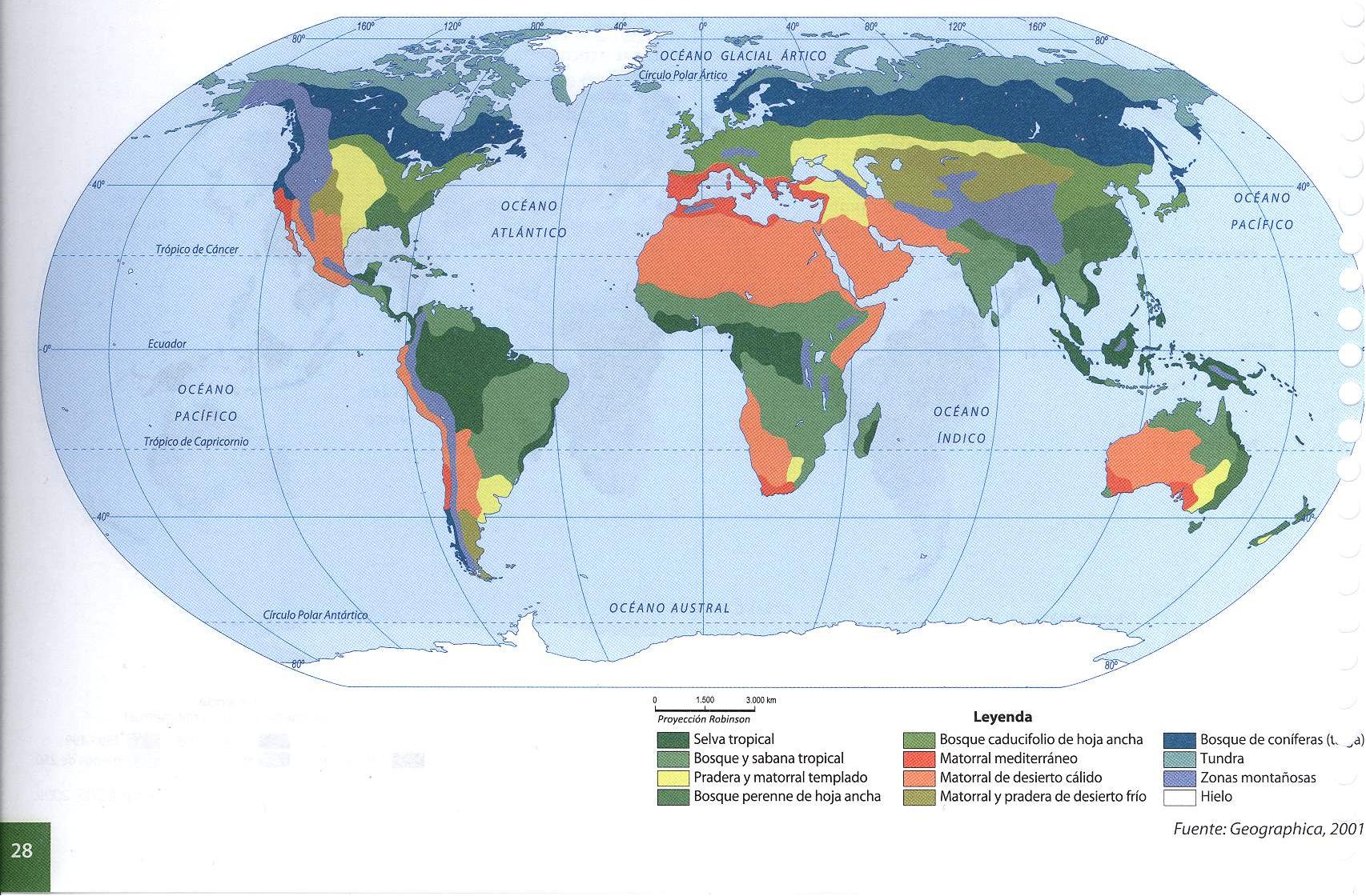 Mapa de biomas del Mundo Tamaño completo Gifex